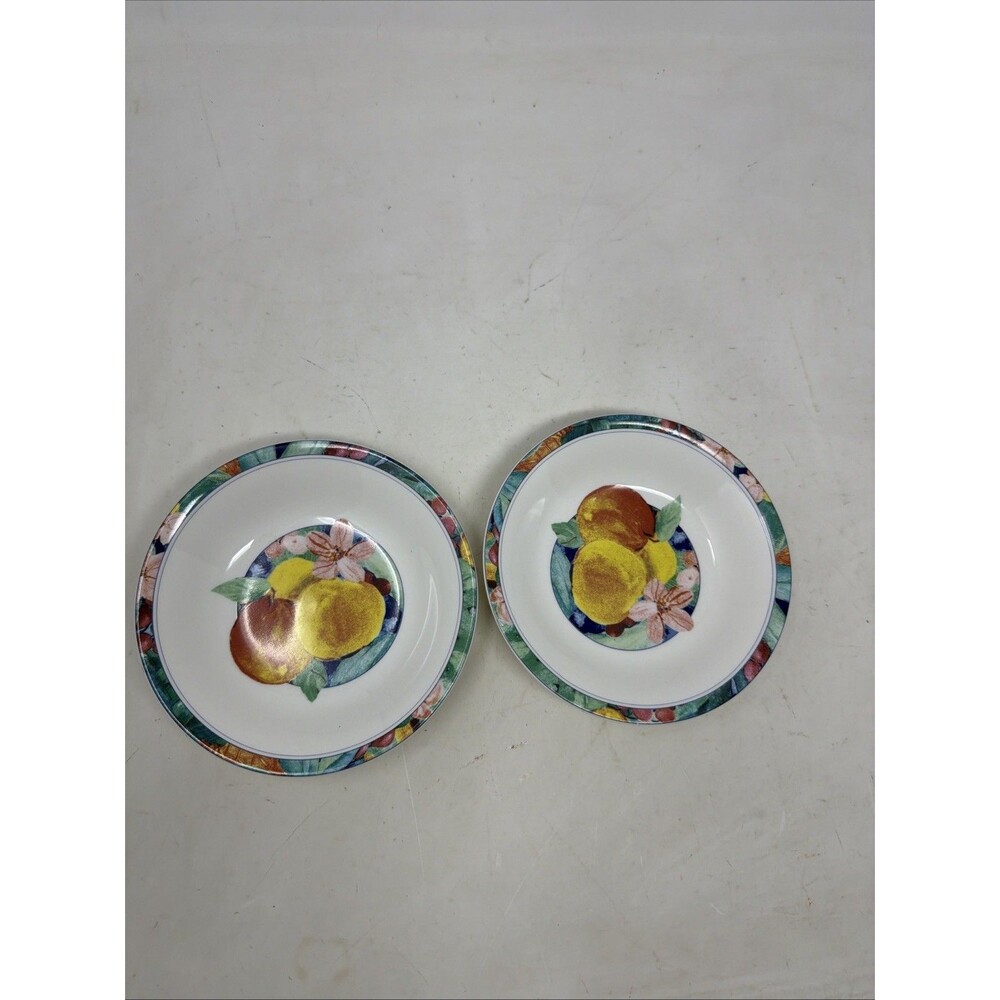 Set of 2 Mikasa Exotic Garden Maxima China Bowl Fruit Dessert Sauce CAK26 Floral